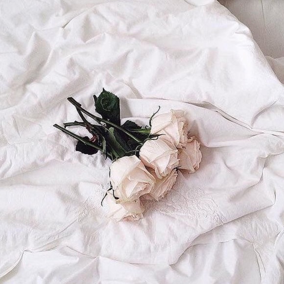 Meet your Posher, Ie - Picture 1 of 1